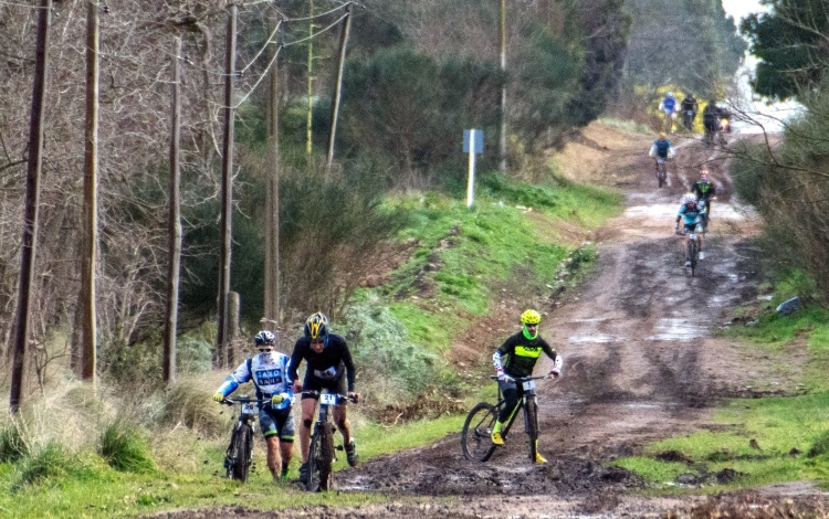 Tres lugares ideales para recorrer en bicicleta en la Provincia