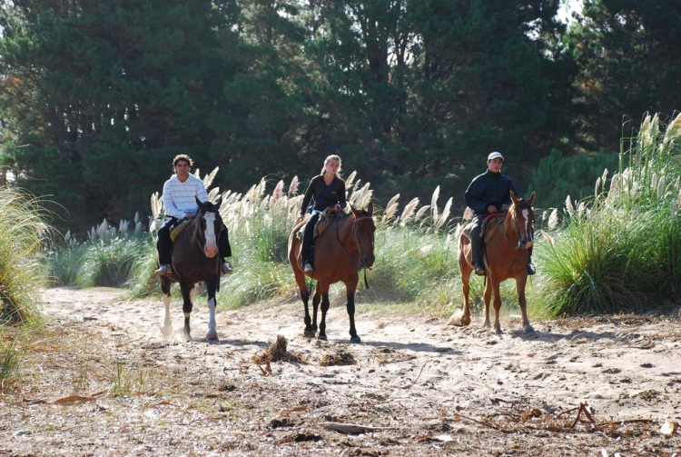 Cuántos días faltan para el próximo fin de semana largo