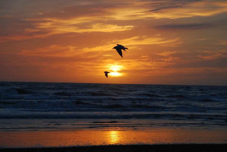 Feriados 2023: cuándo es el próximo fin de semana largo para una escapada extra large