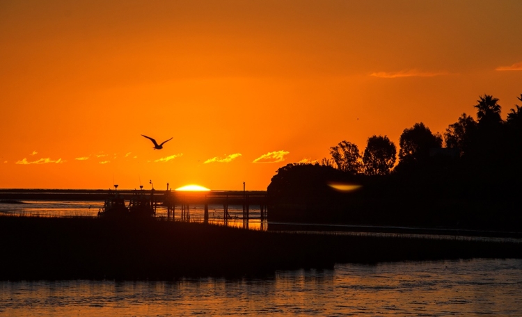 Un millón y medio de turistas viajaron durante el fin de semana largo por la Argentina