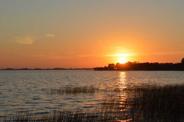 Alerta roja por cianobacterias en lagunas bonaerenses